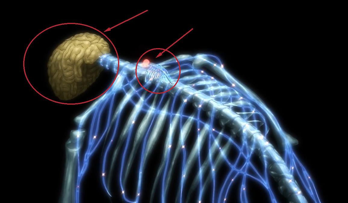 Attack on Titan: Sau khi bị bắn bay đầu, 4 khả năng có thể xảy ra ảnh hưởng trực tiếp đến việc sống - chết của Eren - Ảnh 5. Attack on Titan: Sau khi bị bắn bay đầu, 4 khả năng có thể xảy ra ảnh hưởng trực tiếp đến việc sống - chết của Eren - Ảnh 5.