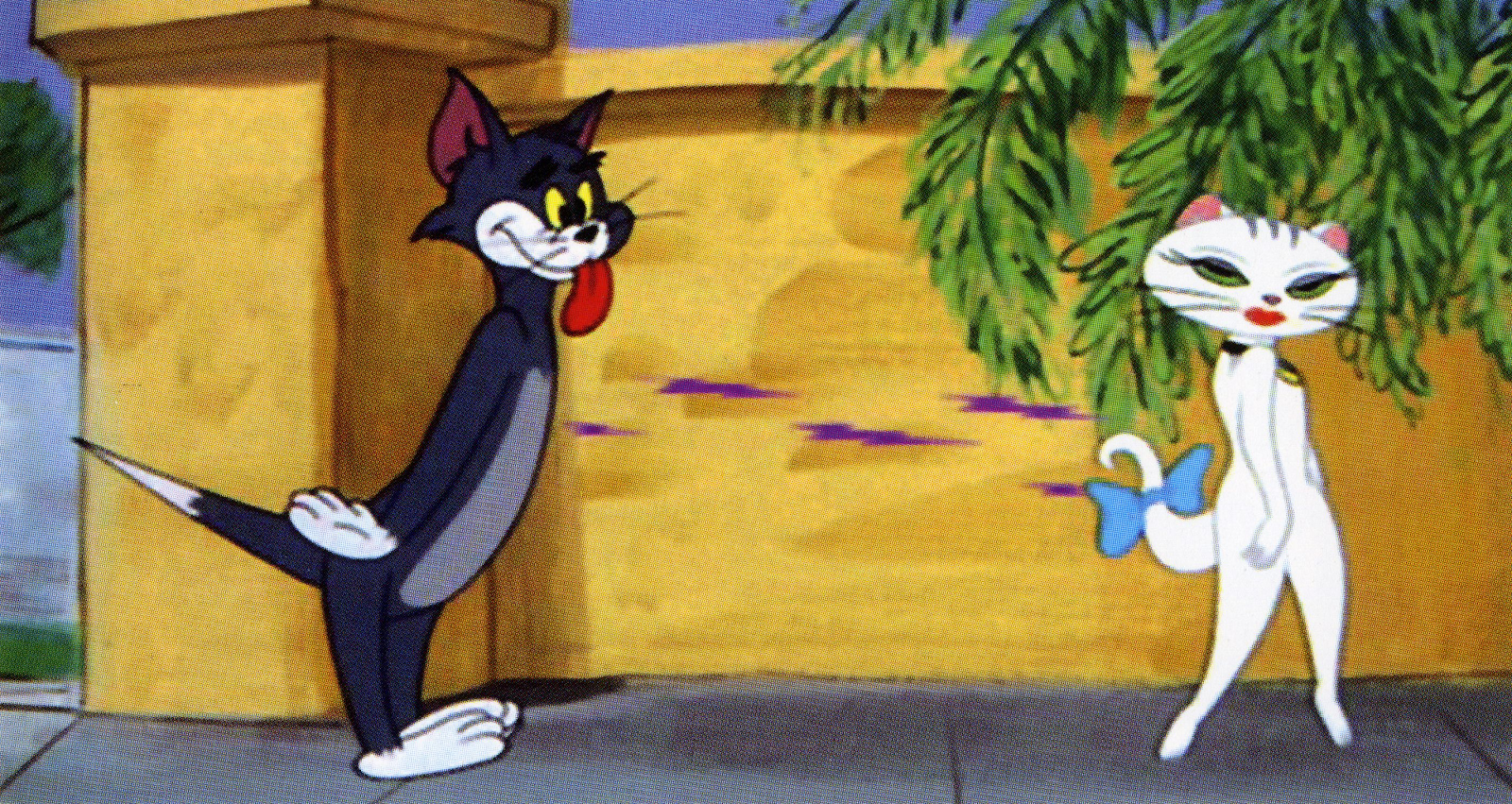 Suốt đời đuổi bắt nhau, đây là lần hiếm hoi Tom và Jerry đứng cùng ...