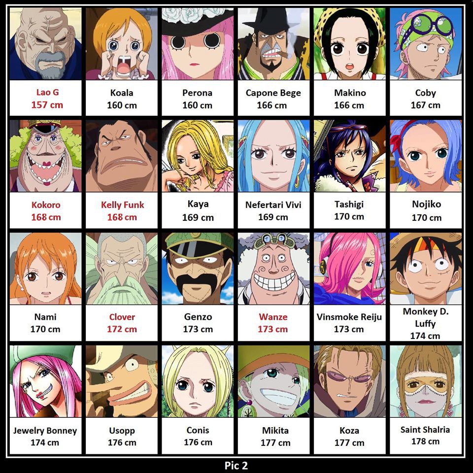 Tên và hình ảnh các nhân vật chính trong One Piece đầy đủ nhất