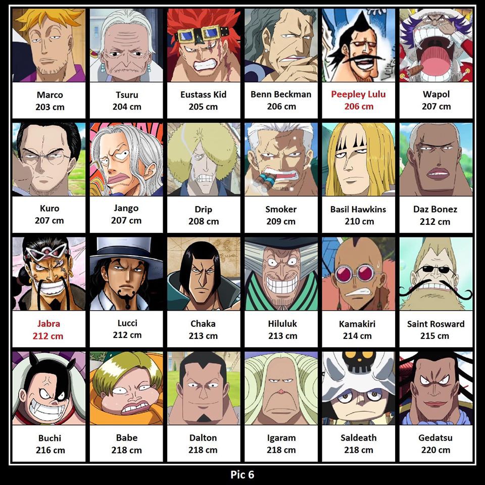One Piece: So sánh chiều cao các nhân vật, có những người tưởng thấp bé nhẹ cân ai ngờ lại cao không tưởng - Ảnh 6. One Piece: So sánh chiều cao các nhân vật, có những người tưởng thấp bé nhẹ cân ai ngờ lại cao không tưởng - Ảnh 6.