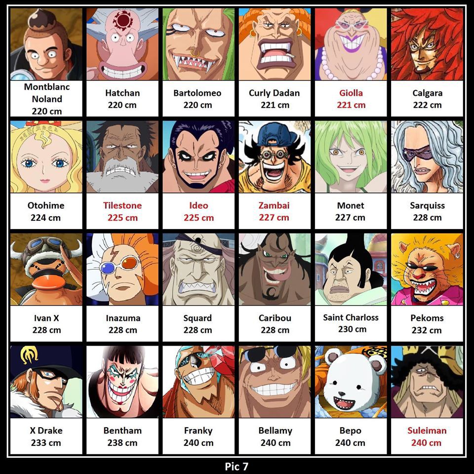 One Piece: So sánh chiều cao các nhân vật, có những người tưởng thấp bé nhẹ cân ai ngờ lại cao không tưởng - Ảnh 7. One Piece: So sánh chiều cao các nhân vật, có những người tưởng thấp bé nhẹ cân ai ngờ lại cao không tưởng - Ảnh 7.