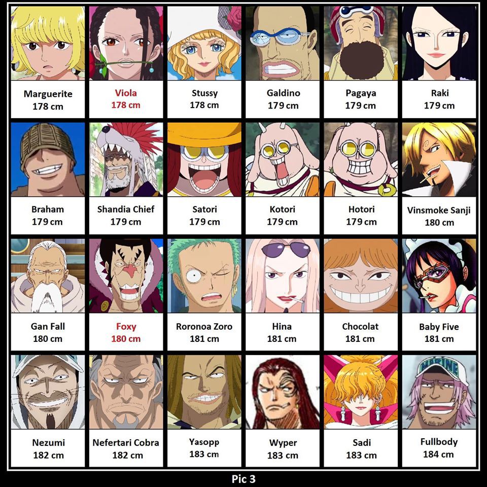 Hãy đến với hình ảnh chiều cao nhân vật One Piece để khám phá những tiết lộ đầy bất ngờ về những nhân vật yêu thích của bạn. Chiều cao là yếu tố quyết định tính cách cũng như bản sắc của mỗi nhân vật. Hãy cùng nhau tìm hiểu!