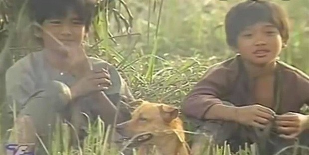 4 em chó ta trên màn ảnh Việt: Nhìn cưng mà diễn tự nhiên, nào có kém cạnh chú Shiba Inu đóng Cậu Vàng? - Ảnh 3.