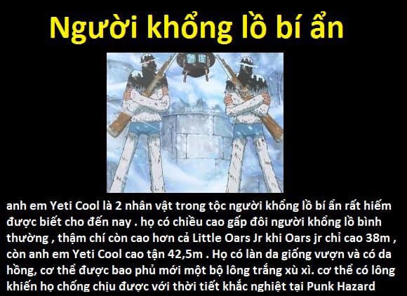 23 chủng tộc và bộ lạc đã từng xuất hiện trong thế giới One Piece - Ảnh 9.