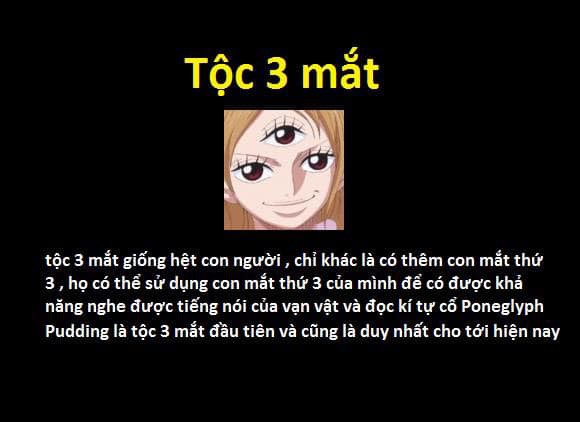 23 chủng tộc và bộ lạc đã từng xuất hiện trong thế giới One Piece - Ảnh 15.