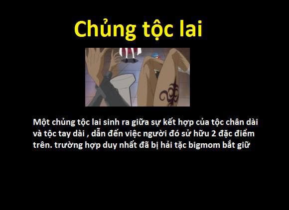 23 chủng tộc và bộ lạc đã từng xuất hiện trong thế giới One Piece - Ảnh 21.