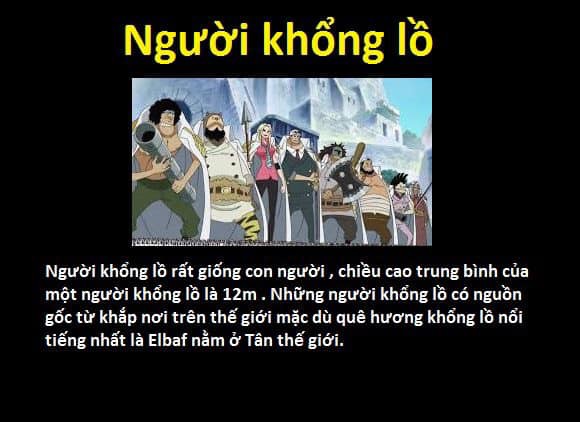 23 chủng tộc và bộ lạc đã từng xuất hiện trong thế giới One Piece - Ảnh 7.