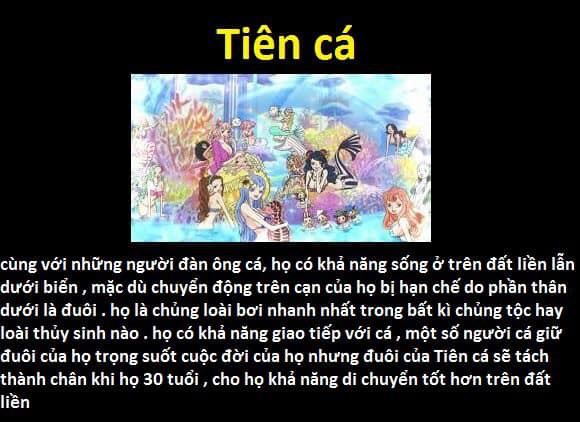 23 chủng tộc và bộ lạc đã từng xuất hiện trong thế giới One Piece - Ảnh 6.
