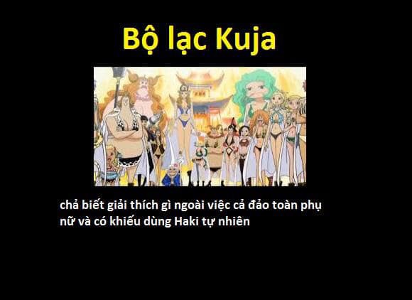23 chủng tộc và bộ lạc đã từng xuất hiện trong thế giới One Piece - Ảnh 3.