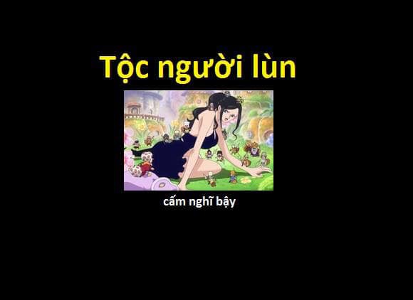 23 chủng tộc và bộ lạc đã từng xuất hiện trong thế giới One Piece - Ảnh 16.