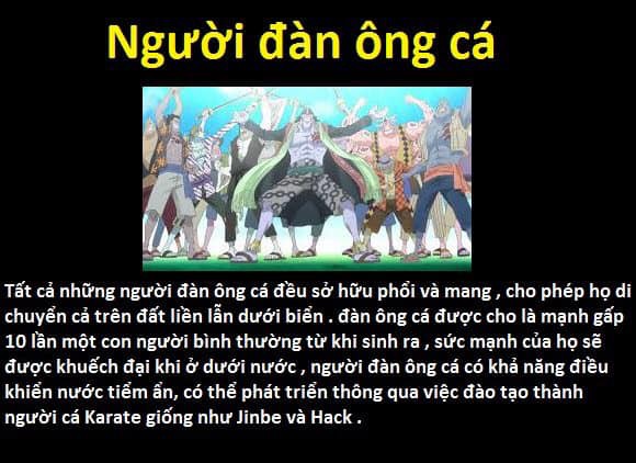 23 chủng tộc và bộ lạc đã từng xuất hiện trong thế giới One Piece - Ảnh 5.