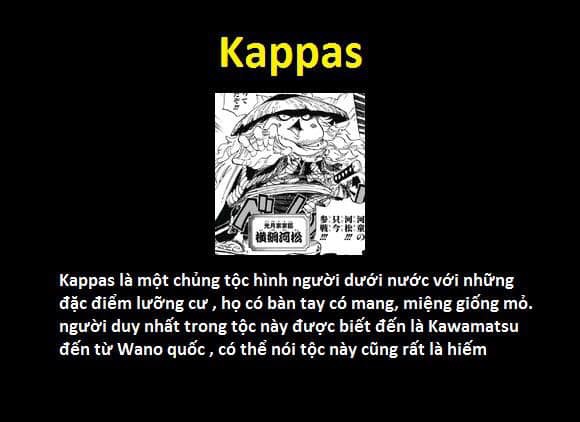 23 chủng tộc và bộ lạc đã từng xuất hiện trong thế giới One Piece - Ảnh 18.