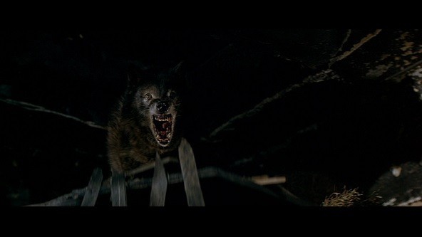10 bộ phim kinh dị hay nhất về người sói cho những ai thích loài sinh vật huyền bí này - Ảnh 5.