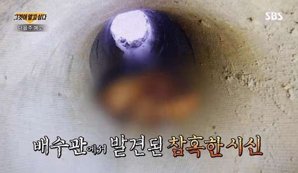 Lật lại vụ án móng tay sơn đỏ của nữ sinh người Pocheon, Hàn Quốc - có thể hay không tìm được hung thủ? - Ảnh 3.