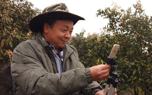 Đỉnh hơn bà Tân Vlog, lão nông Trung Quốc livestream một lần bán hết 1000 tấn cam - Ảnh 1.