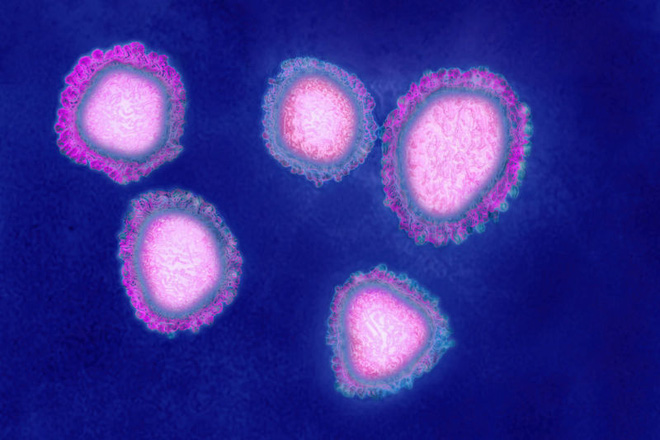 Đây là 8 điều quan trọng bạn cần biết về virus Vũ Hán: Nó lây nhiễm thế nào, phòng chống ra sao? - Ảnh 2.