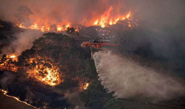 Hết cháy đại thảm họa đến lũ lụt, giờ nước Úc tiếp tục phải hứng chịu cơn mưa nhện độc nguy hiểm nhất hành tinh - Ảnh 1.
