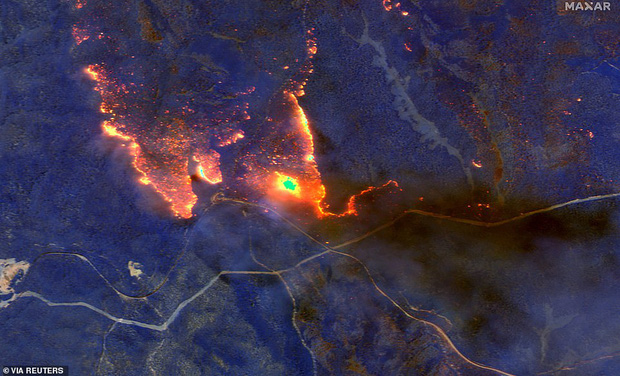 Đại thảm họa cháy rừng Úc nhìn từ không gian: Cả nước như quả cầu lửa, những mảng xanh trù phú bị thay bằng màu khói trắng tang thương - Ảnh 2.