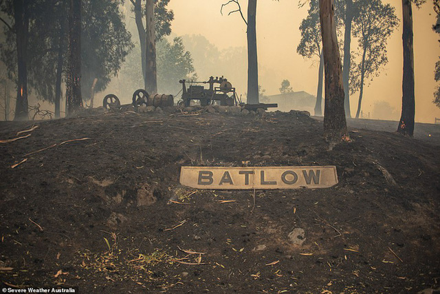 Xác kangaroo, gấu koala và cừu cháy đen, nằm la liệt bên đường ở Úc cho thấy thảm hoạ cháy rừng đang kinh khủng đến mức nào - Ảnh 6.