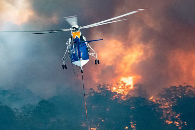 Truy tố 24 người vì tội cố ý phóng hỏa gây ra cháy rừng thảm họa tại Úc: Họ cảm thấy phấn khích khi nhìn lửa bốc lên - Ảnh 2.