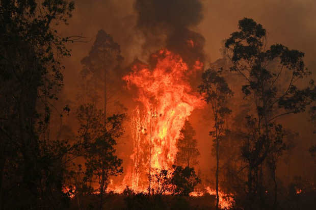 Truy tố 24 người vì tội cố ý phóng hỏa gây ra cháy rừng thảm họa tại Úc: Họ cảm thấy phấn khích khi nhìn lửa bốc lên - Ảnh 1.