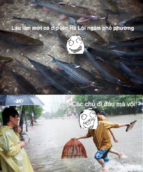 Cư dân mạng thi nhau chế ảnh Hà Nội mưa lụt 6