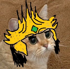Bạn là fan của Liên Minh Huyền Thoại? Chắc chắn bạn sẽ không thể bỏ qua hình ảnh meme mèo Liên Minh Huyền Thoại này. Nó cực kỳ hài hước và đáng yêu đấy!