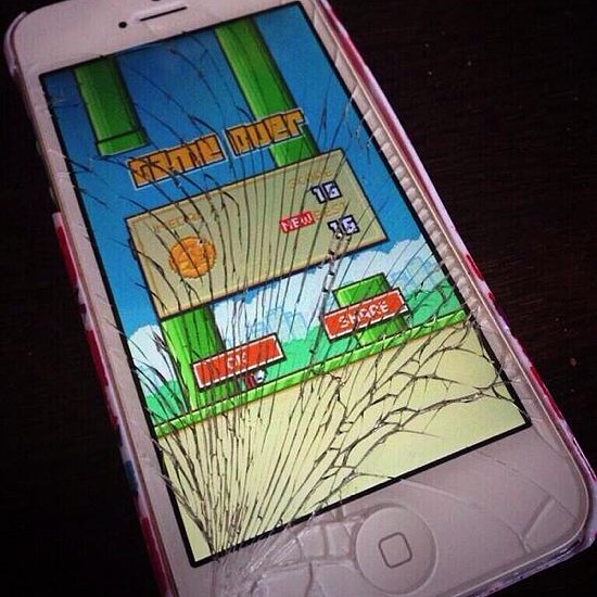 Sự thật về 17 nhát dao vì Flappy Bird 3