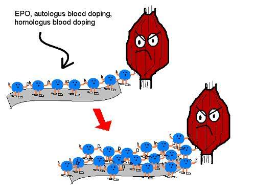 cung-tim-hieu-ve-tro-gian-lan-trong-the-thao-doping-mau