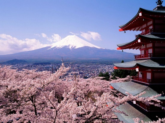 Hình nền Tài Liệu Hình Nền Nhật Bản Hoa Anh đào Núi Phú Sĩ Hồng  Background Vector để tải xuống miễn phí  Pngtree