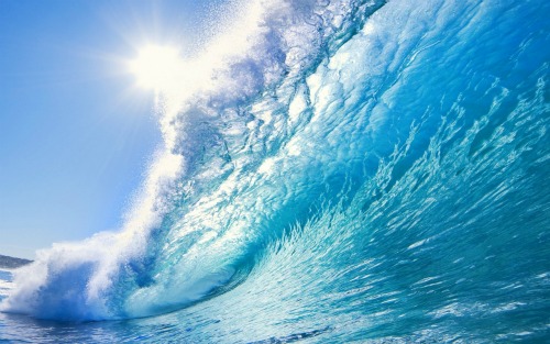 Hình nền biển tuyệt đẹp cho điện thoại iPhone | Hình nền, Hình, Điện thoại  iphone