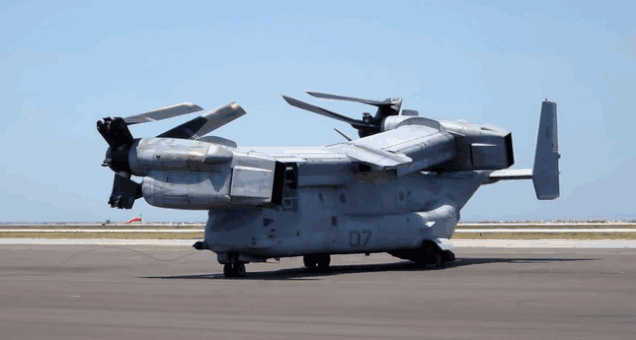 Think An Osprey Is A Transformer In The Air? Check It Out On The Ground!