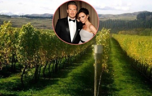 
David Beckham đã bỏ ra gần 10 triệu USD để sắm một vườn nho ở thung lũng Napa dành tặng vợ nhân dịp sinh nhật. Victoria rất bất ngờ khi được uống loại rượu mang nhãn hiệu Victoria Beckham trong tiệc sinh nhật của mình. Đó là rượu được sản xuất từ nho trồng ở khu vườn Becks tặng.

