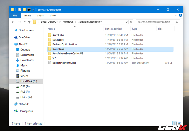 package cache windows 10