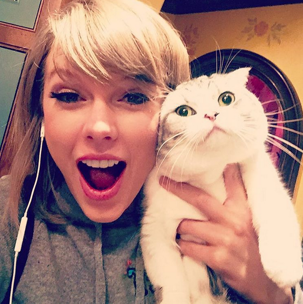4, Bức ảnh thứ 3 của cô ca sẽ tóc vàng xinh đẹp bên chú mèo Meredith ( 2.4 triệu lượt like )