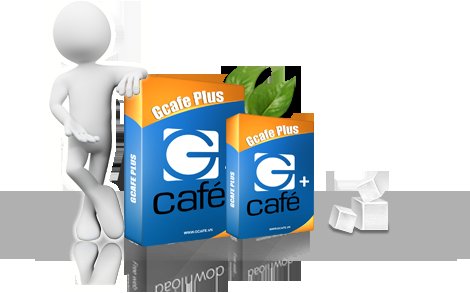 Garena nên tập trung vào việc cải thiện chất lượng của dịch vụ Gcafe.