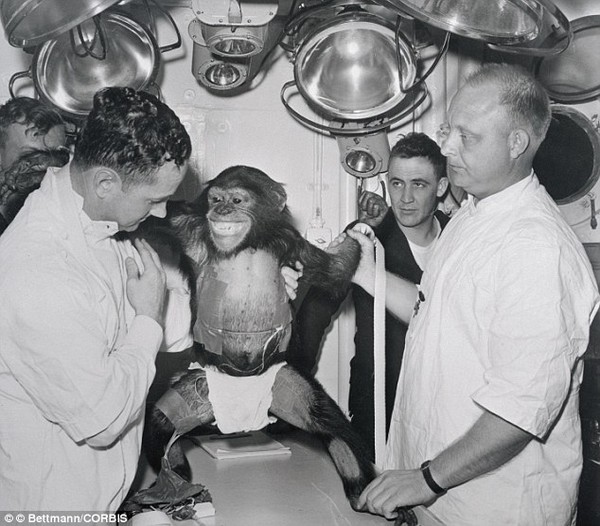  Albert I - chú khỉ đầu tiên bay vào vũ trụ 