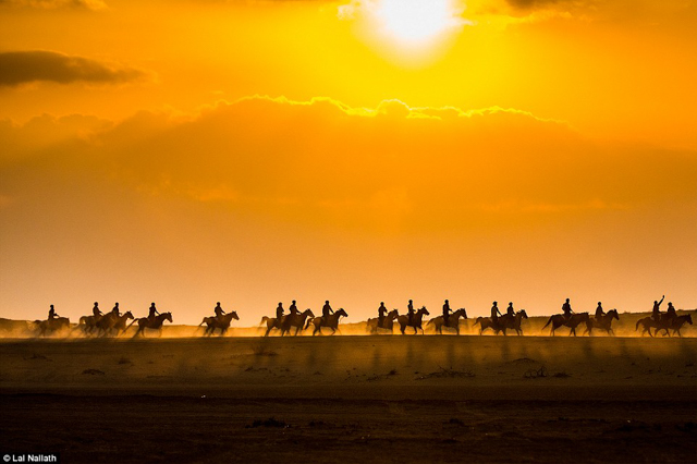 Giải sắc m&agrave;u: B&igrave;nh minh tr&ecirc;n đường đến Al Ain, t&aacute;c giả: Lal Nallath. Lal thường đi đến khu vực Al Ain, Dubai để chụp ảnh b&igrave;nh minh, quang cảnh mỗi s&aacute;ng nơi đ&acirc;y rất nhộn nhịp: c&oacute; đo&agrave;n ngựa chạy qua, lạc đ&agrave; thong thả dạo bước, vận động vi&ecirc;n đạp xe v&agrave; rất nhiều ch&uacute; chim bay lượn tr&ecirc;n bầu trời.