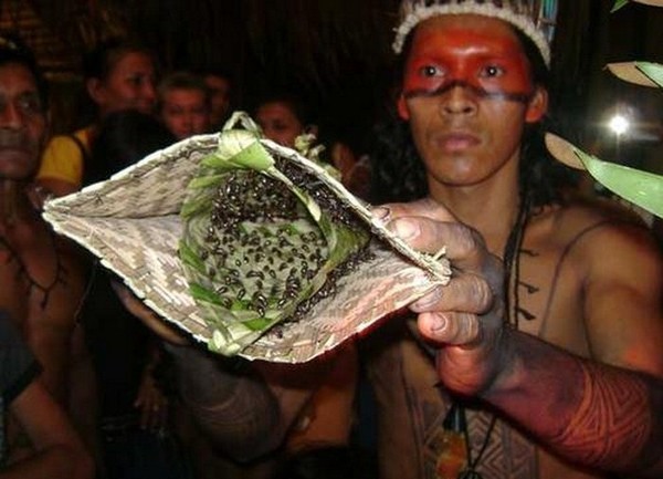  Chiếc bao tay đầy kiến đầu đạn của người Satere-Mawe (Brazil) 