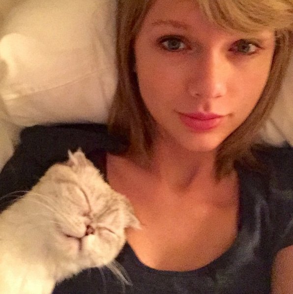 9, Taylor Swift bên chú mèo đáng yêu của cô ấy, Meredith ( 2.2 triệu lượt like )
