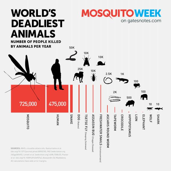  Muỗi chính là sát thủ hàng đầu đối với con người. 