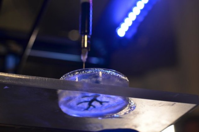 In 3D vật chất sinh học trong một bể gel.
