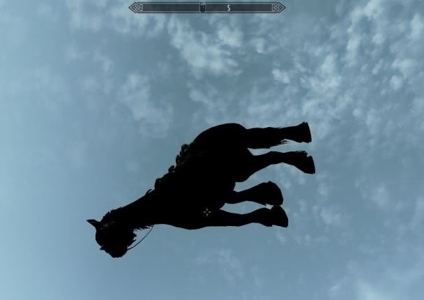 
Lỗi ngựa bay huyền thoại của Skyrim.
