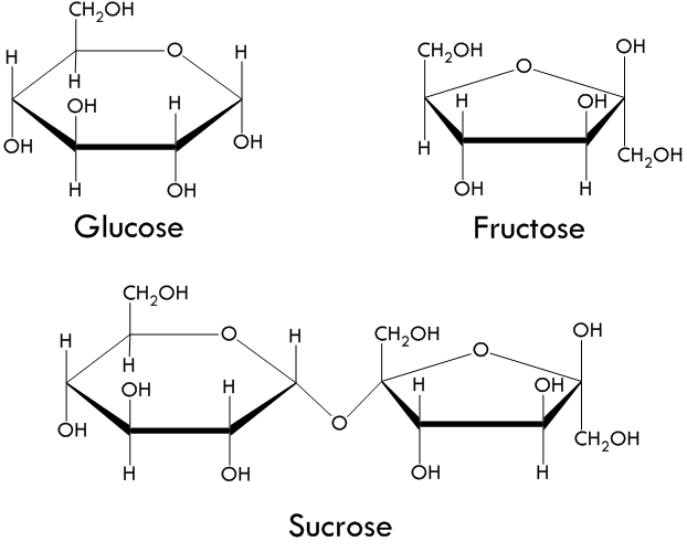  Công thức hóa học của các loại đường Glucose, Fructose và Sucrose. 
