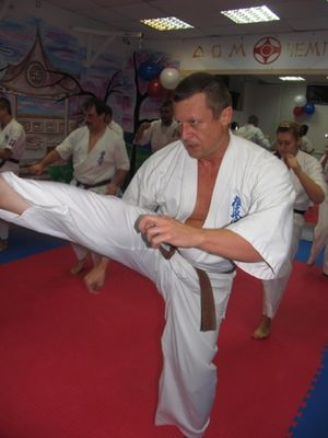 
Dmitri Kondratiev vốn l&agrave; một v&otilde; sĩ karate m&ocirc;n ph&aacute;i kyokusinkai ở đẳng đai n&acirc;u.
