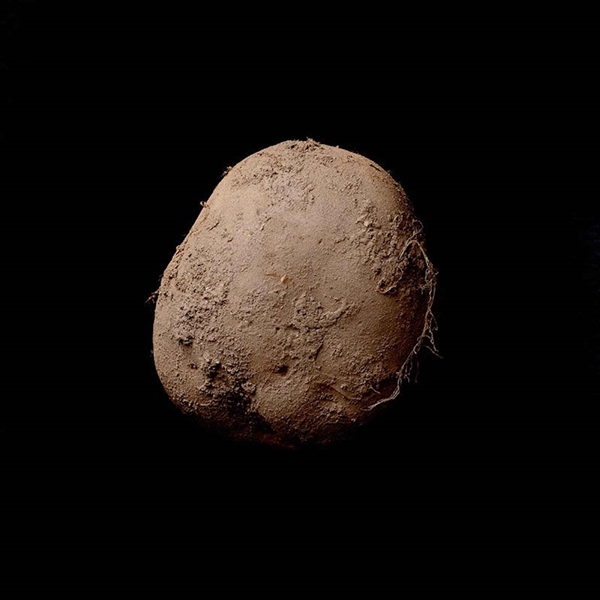 
Bức ảnh chụp củ khoai tây Potato #345 được bán với giá hơn 1 triệu USD
