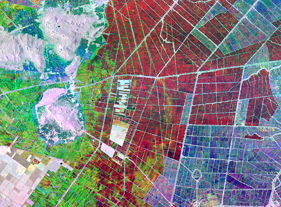 Ảnh chụp vùng nông nghiệp của An Giang từ vệ tinh từ NASA, trong đó những vùng tối màu đen sẫm là vùng đang ngập úng nước cần được xử lý - Ảnh: NASA