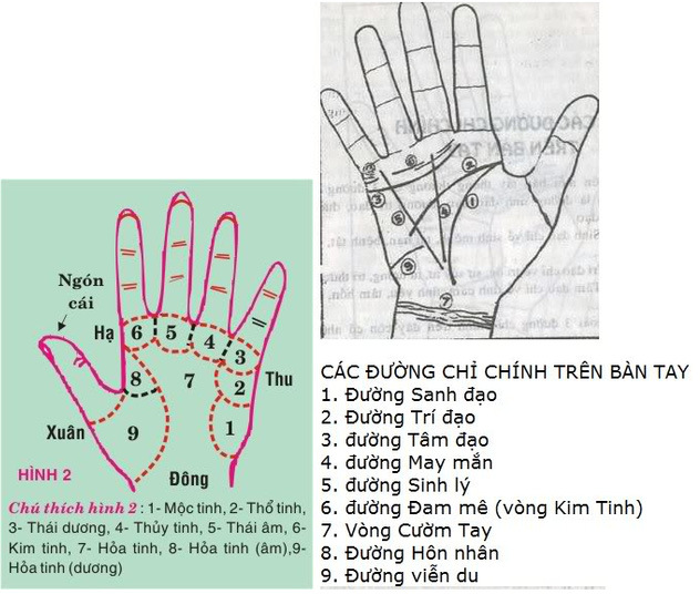  Chữ M kết hợp bởi bốn đường: Sinh đạo, Trí đạo, Tâm đạo và May mắn. 