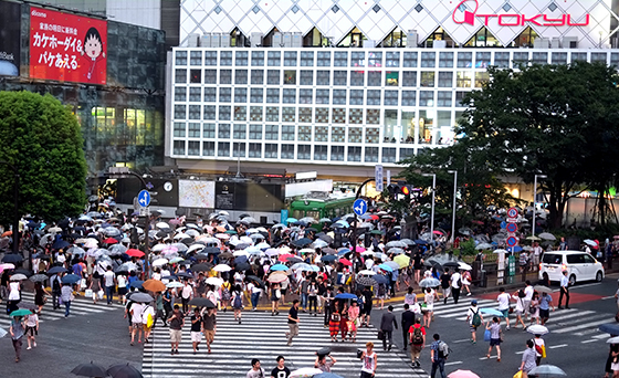  Ngã tư Shibuya, nơi có vị trí đặt quảng cáo đắt nhất thế giới. Ảnh: Thành Lương 