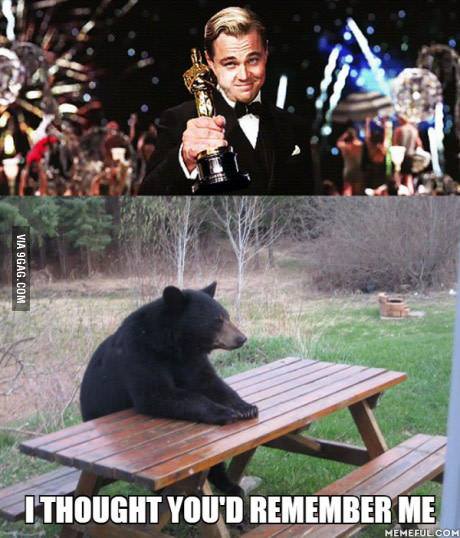 
Không có gấu thì làm sao mà Leo có Oscar? Thế mà không nỡ cảm ơn gấu.
